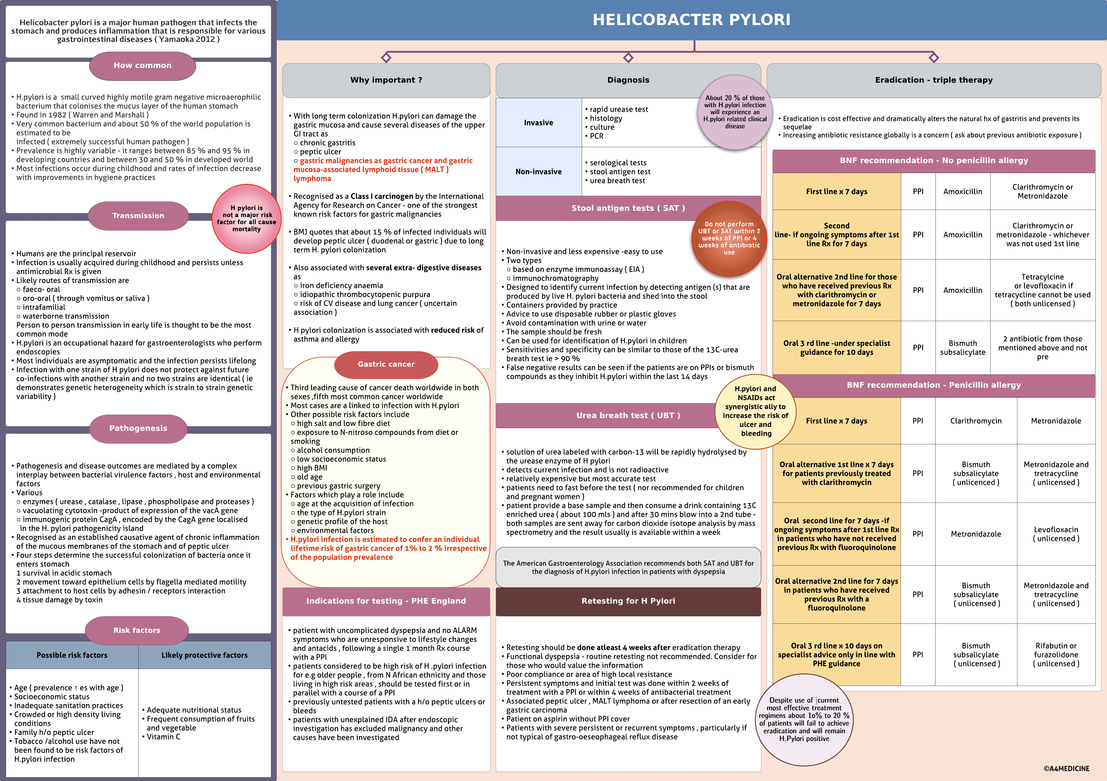 Helicobacter pylori infection