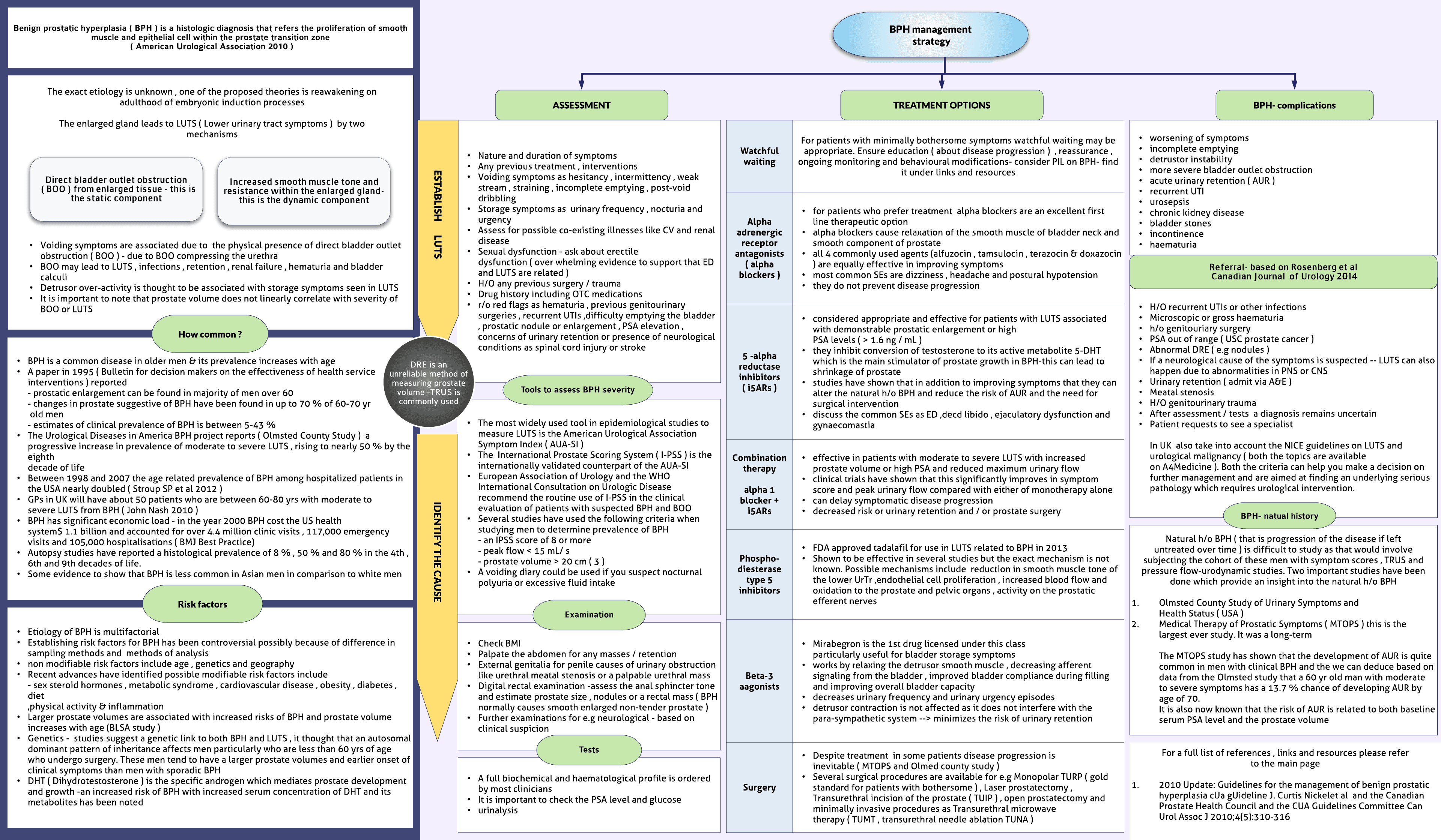 Benign Prostatic Hyperplasia ( BPH )