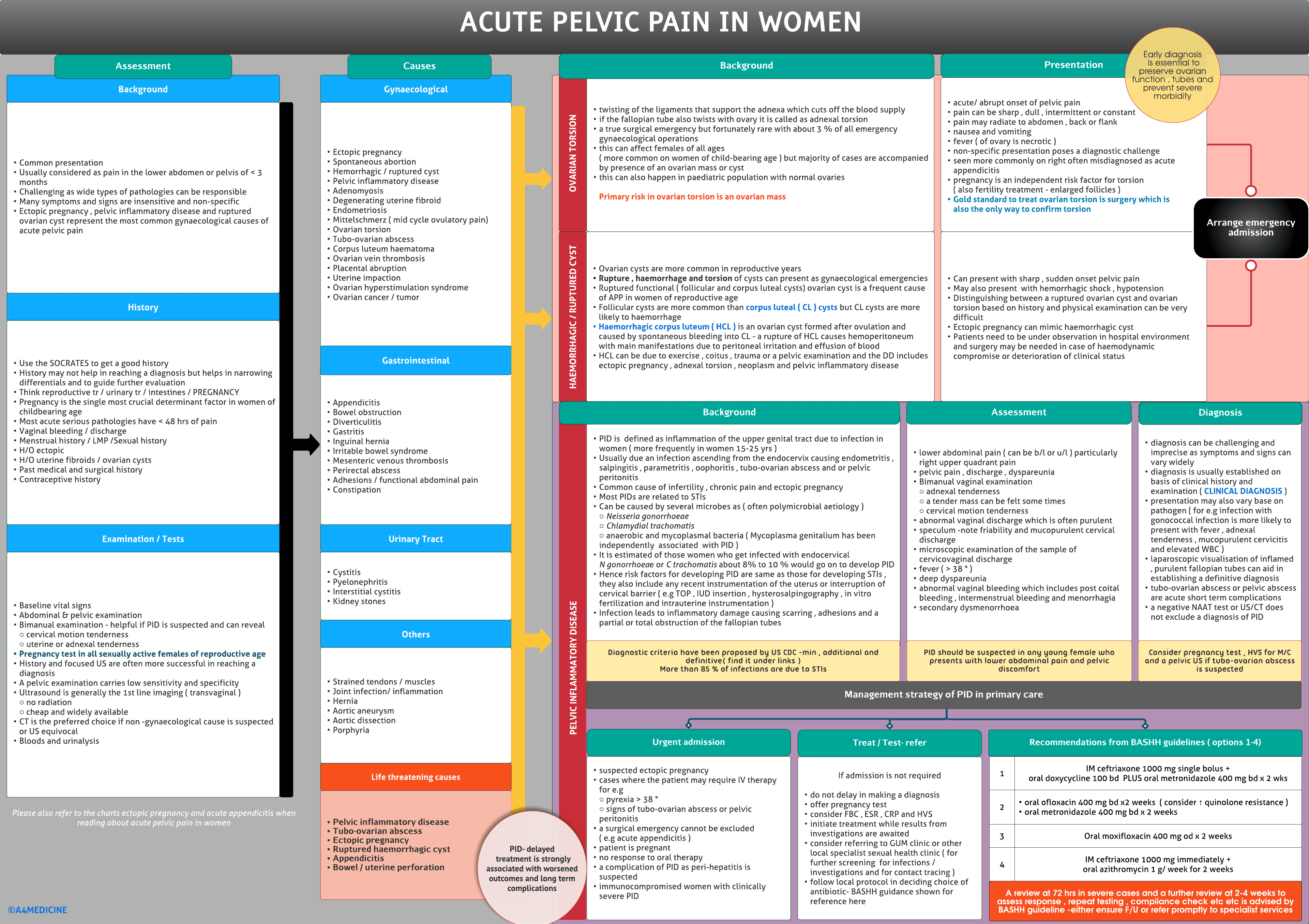Acute pelvic pain