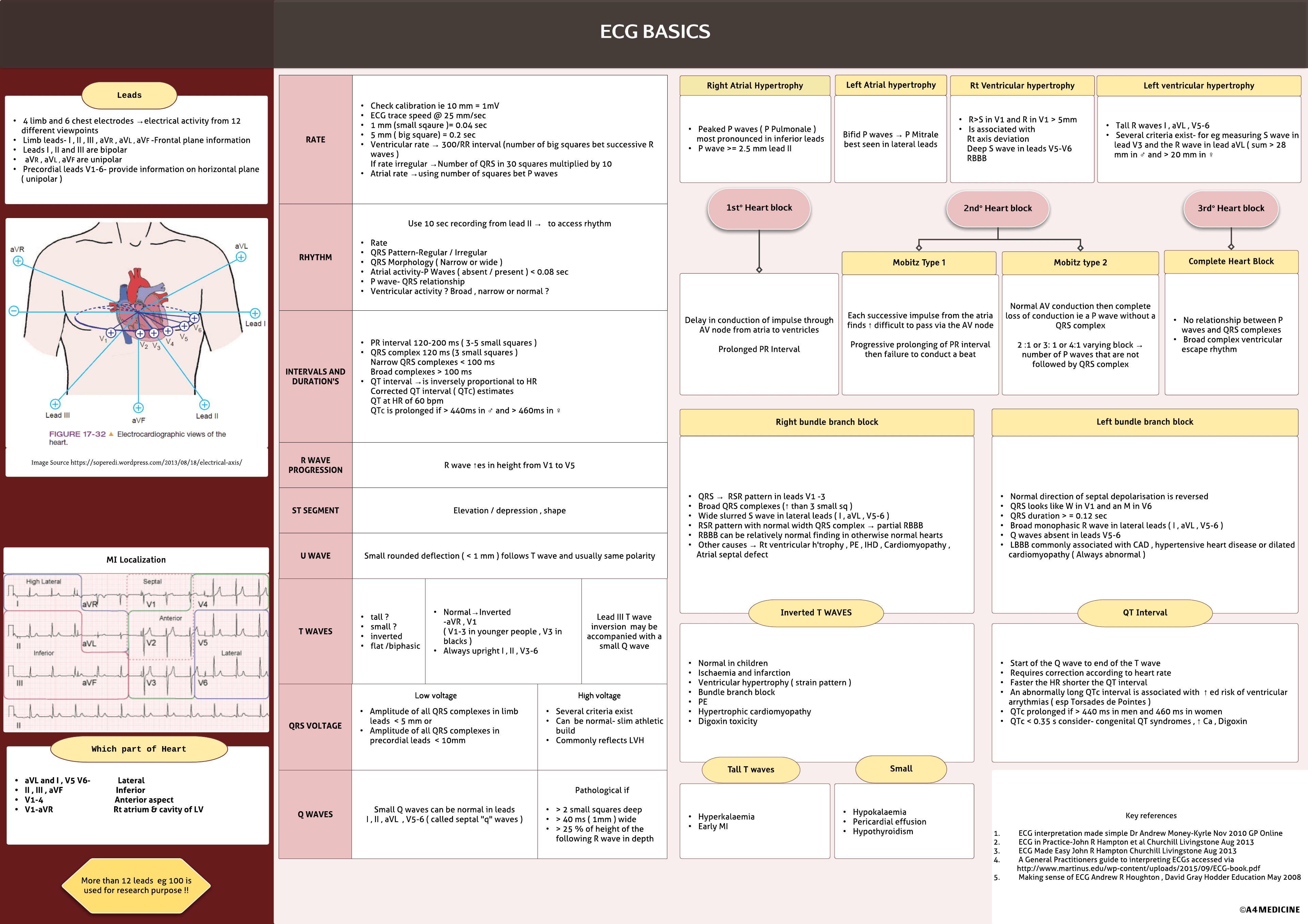 ECG Basics
