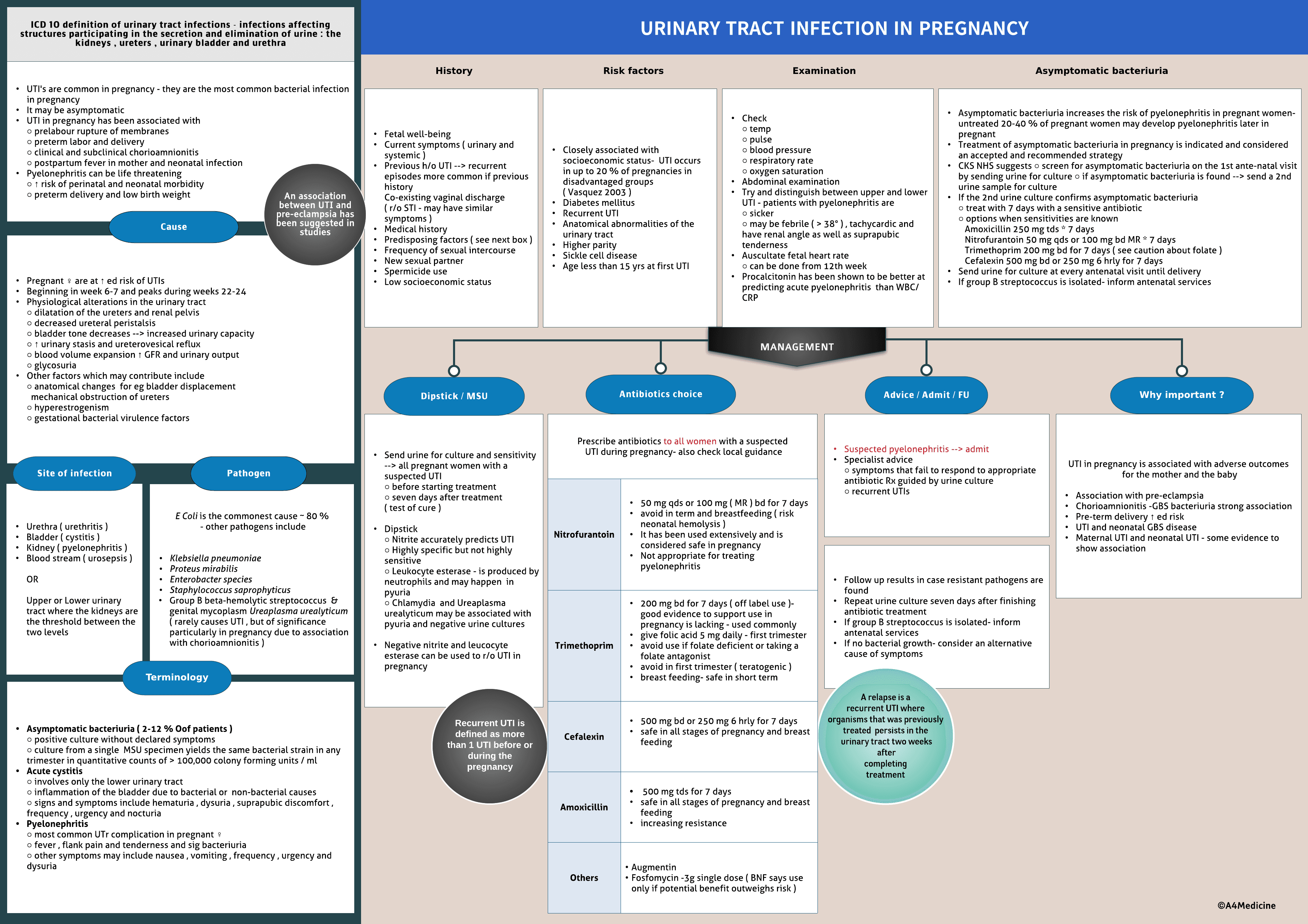 Urinary Tract Infection in Pregnancy