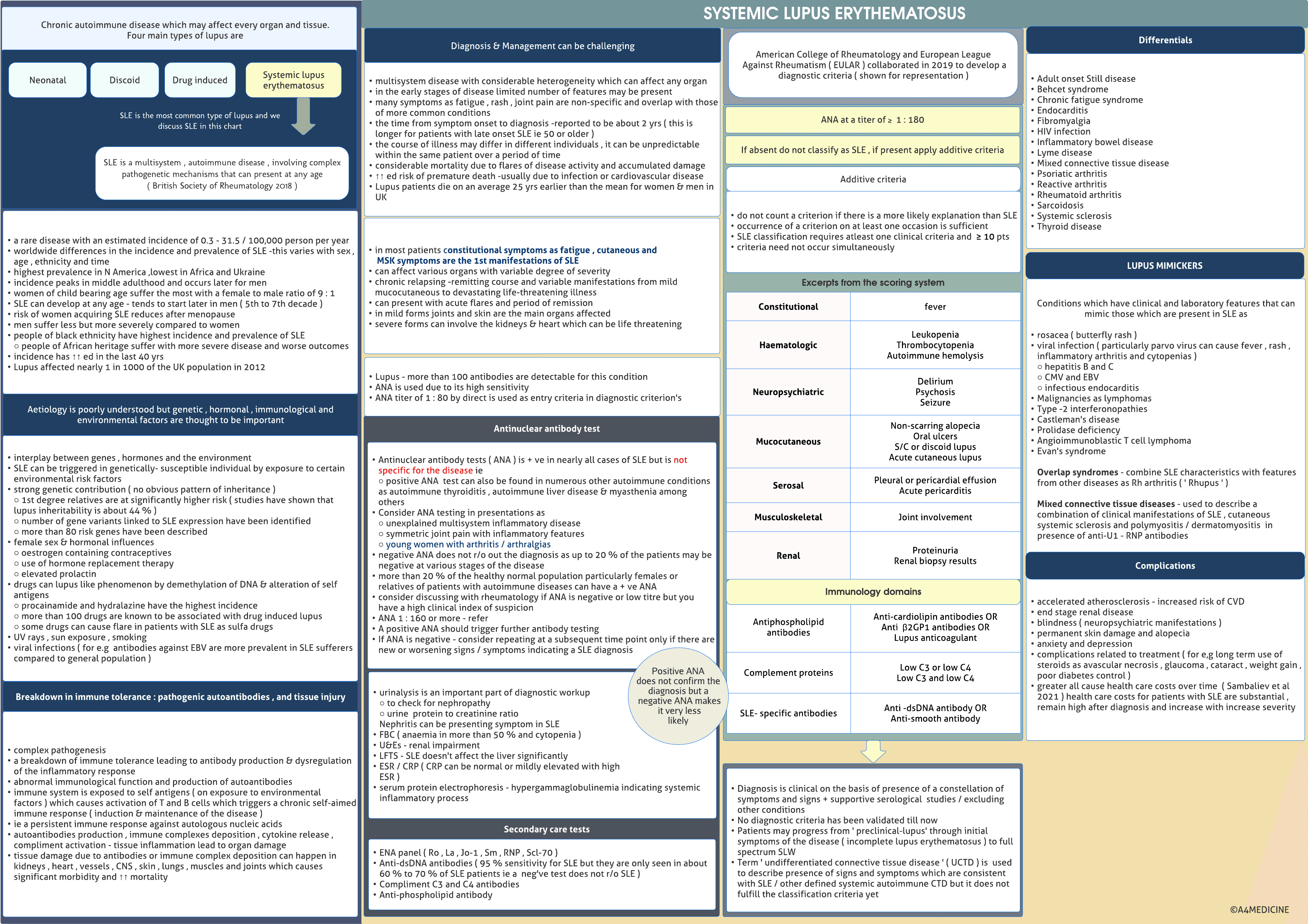 Systemic Lupus Erythematosus ( SLE )