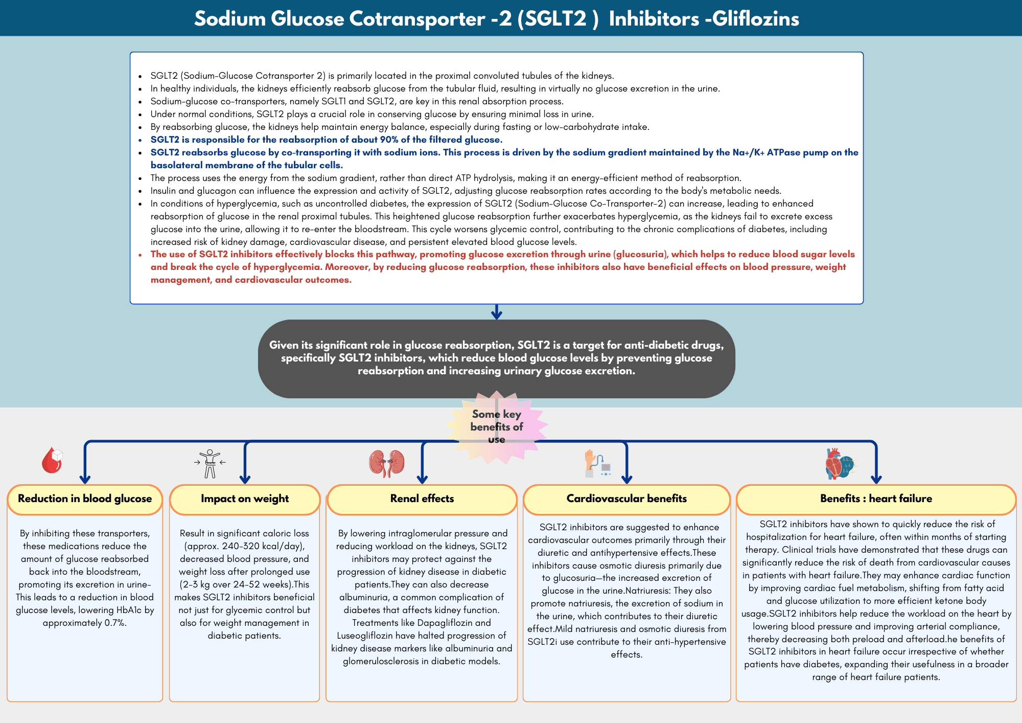 Sodium Glucose Cotransporter -2 (SGLT2 )  Inhibitors -Gliflozins